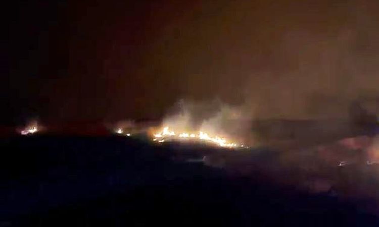 Ayrıntılar Netleşti: Palu'da Dağlık Alandaki Yangın Kontrol Altına Alındı: Gelişmeler Takip Ediliyor