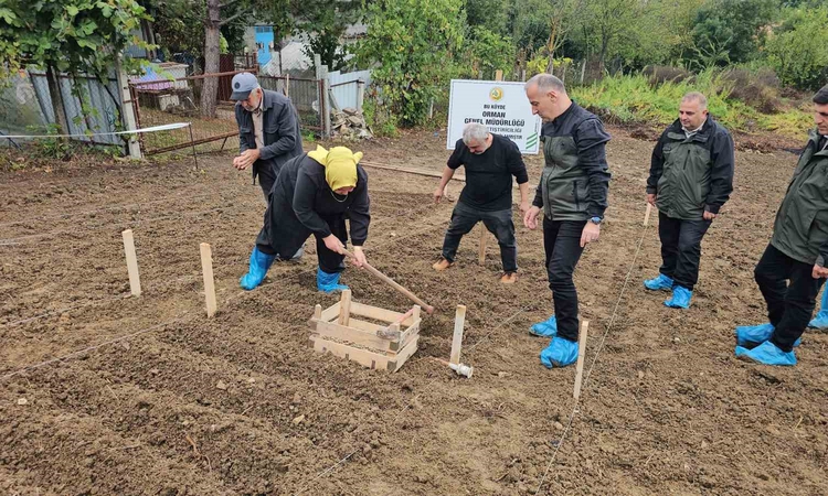 Ayrıntılar Netleşti: Salep üretiminde ORKÖY desteğiyle 3 milyon lira gelir bekleniyor | İşte Tüm Ayrıntılar