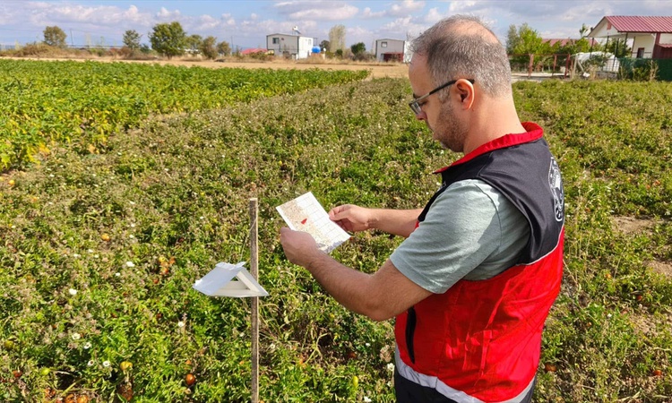Ayrıntılar Netleşti: Seydişehir'de eğitim güvenliği toplantısı yapıldı, Beyşehir'de tarım takibi sürüyor | İşt
