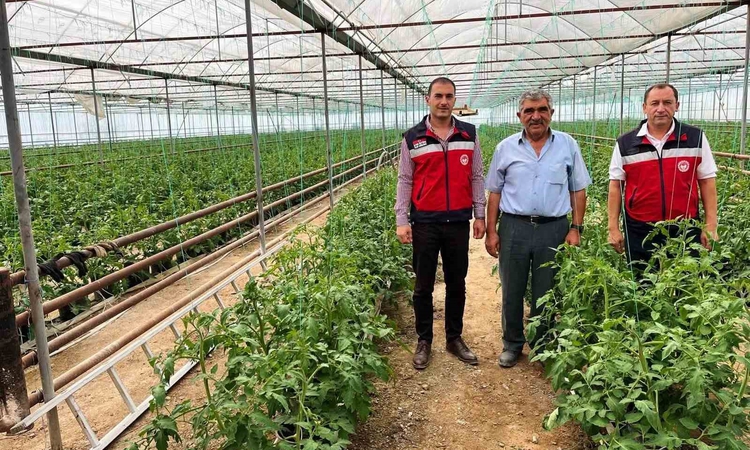 Ayrıntılar Netleşti: Simav'da İlçe Tarım ve Orman Müdürlüğü personeli seracı üreticileri ziyaret etti