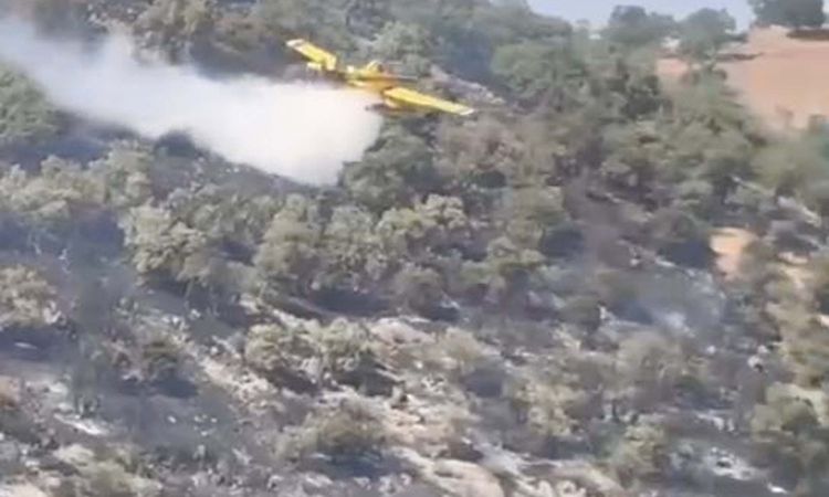 Ayrıntılar Netleşti: Sındırgı'da Orman Yangını Kontrol Altında - Son Dakika Bilgileri