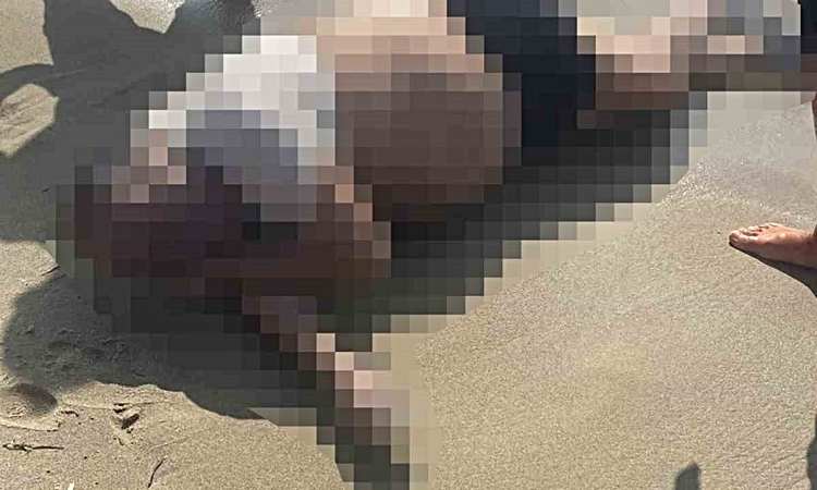 Ayrıntılar Netleşti: Sisam dönüşü yattan denize düşen müteahhitin cansız bedeni Kuşadası'nda bulundu