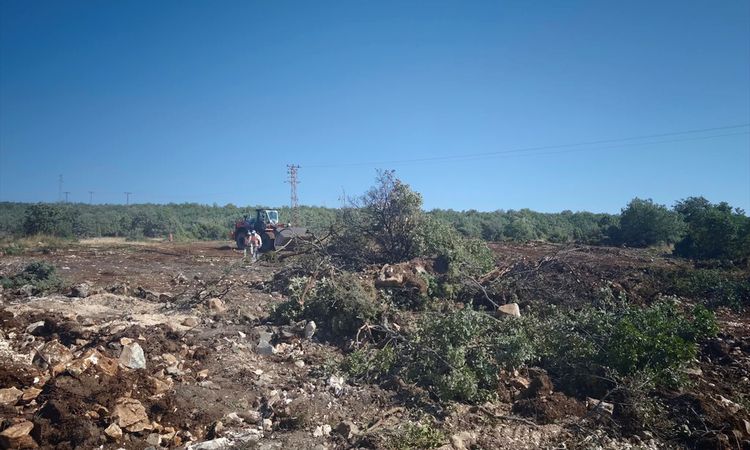 Ayrıntılar Netleşti: Söğüt'te orman yangını kontrol altında - Son Dakika Bilgileri