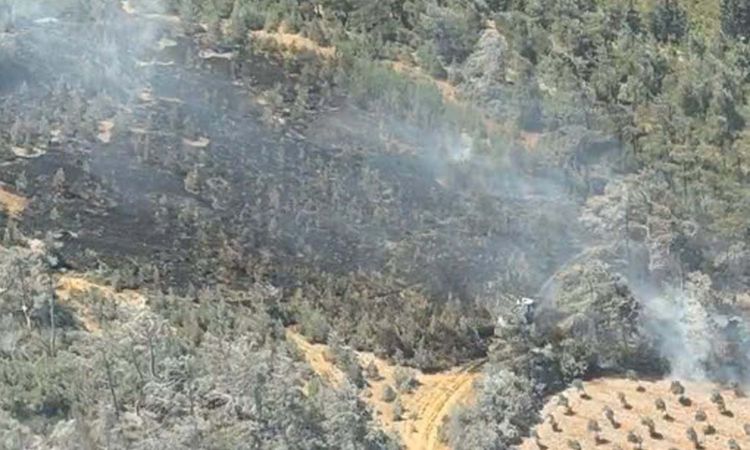 Ayrıntılar Netleşti: Soma'da Orman Yangını 2,5 Saatte Kontrol Altına Alındı - Son Dakika Bilgileri
