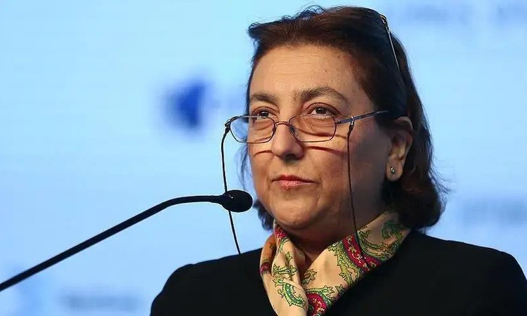 Ayrıntılar Netleşti: SPK başkanı istifa etti, Borsa İstanbul Başkanı Erişah Arıcan sessizliğe büründü