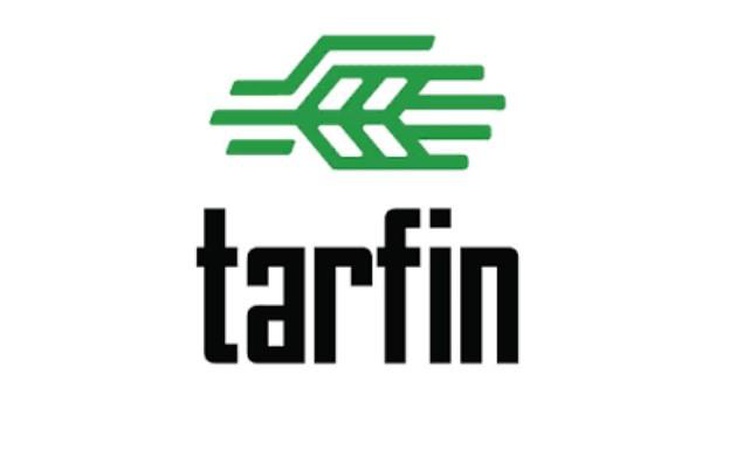 Ayrıntılar Netleşti: Tarfin nedir, Fenerbahçe Tarfin’deki Tarfin ne demektir?