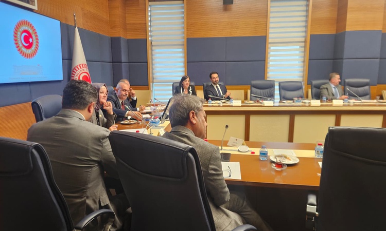 Ayrıntılar Netleşti: TBMM AB Uyum Komisyonu'nda Türkkan, AİHM kararlarının uygulanmadığını savundu - Son Dakik