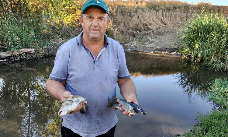 Ayrıntılar Netleşti: Tekirdağ'da derede toplu balık ölümlerine inceleme
