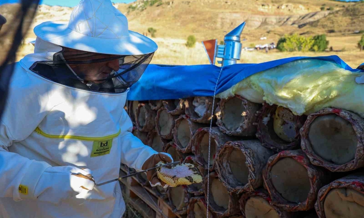 Ayrıntılar Netleşti: Tunceli’de bal sağımı resmen start aldı: 900 tonun üzerinde üretim bekleniyor