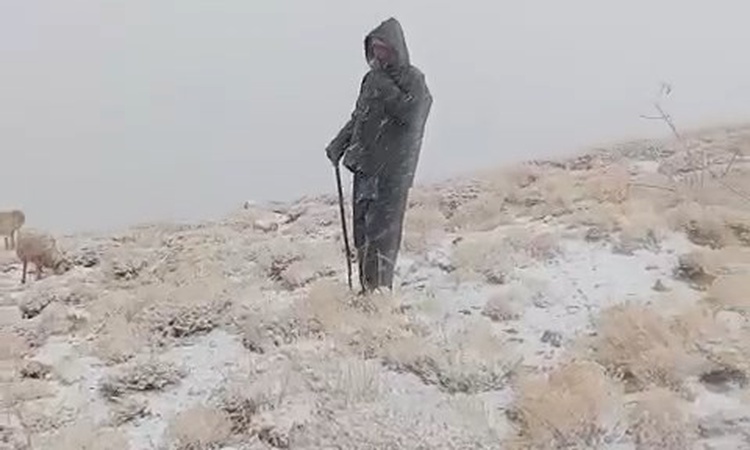 Ayrıntılar Netleşti: Tunceli Ovacık'ta Yalmanlar Yaylası, ekimde kar yağışıyla beyaza büründü | İşte Tüm Ayrın