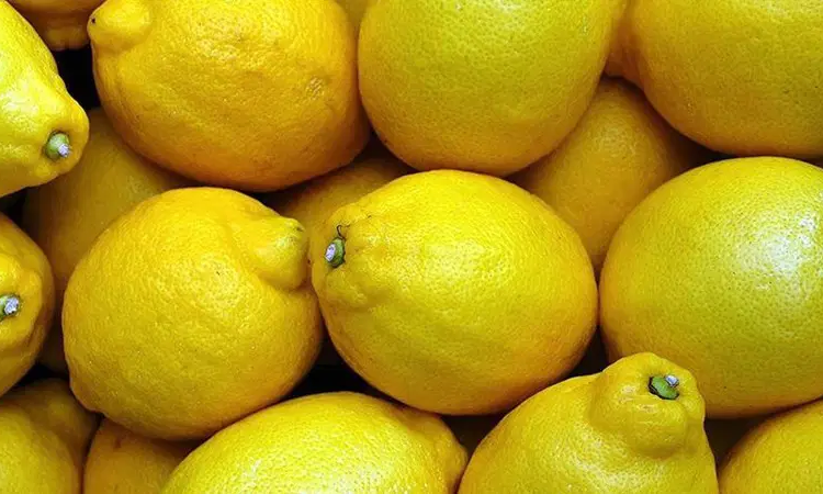 Ayrıntılar Netleşti: TZOB'un ekim raporunda limonda üretici-market fiyat farkı yüzde 999,2 oldu | İşte Tüm Ayr