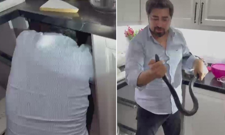 Ayrıntılar Netleşti: Yılancı Kemal yine yaptı yapacağını! 4 saat sonunda çıplak elleriyle yakaladı | İşte Tüm