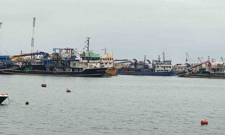 Ayrıntılar Netleşti: Zonguldak Ereğli'de olumsuz hava balıkçılığı durdurdu, trol gemileri limana sığındı