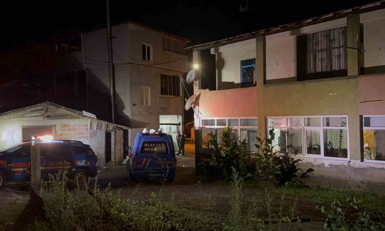 Gündemden Son Bilgiler: Ayva Dalı Tartışması Kanlı Bitti: Amca yaşamını yitirdi - Haberleri: Gelişmeler Takip