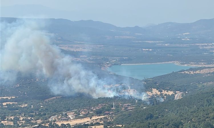 Ayvacık'ta zirai yangın kontrol altında: Gelişmeler Takip Ediliyor