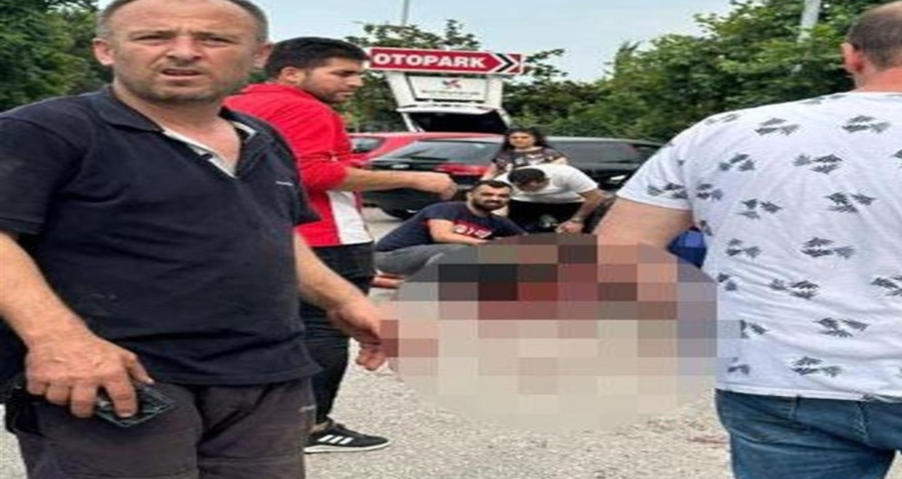 Son Gelişme: Babasının ricasıyla girdiği işte patronunun boğazını kesti - Haberleri - Son Dakika Bilgileri
