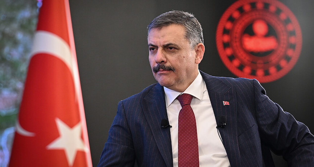 Ayrıntılar Netleşti: Bakan Çiftçi tarih verdi: Tüm sokak köpekleri barınaklara alınacak - En Son Haber ve Mera