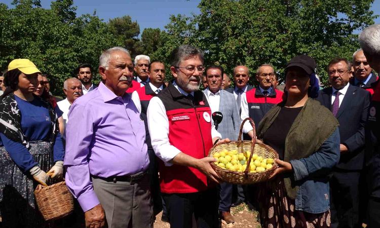 Minister Yumaklı: Apricot Production Sustained with Post-Frost Support