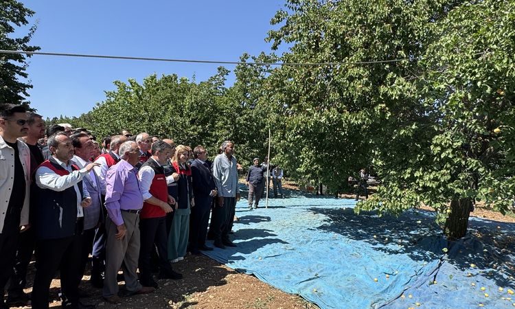 Minister Yumaklı: Malatya is the world's gateway for apricots.
