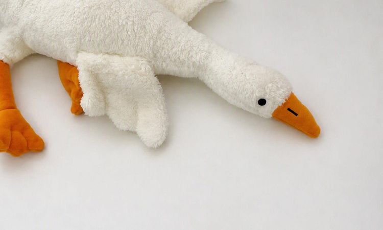Ministry's decision to ban and recall the 'plush goose' toy - News