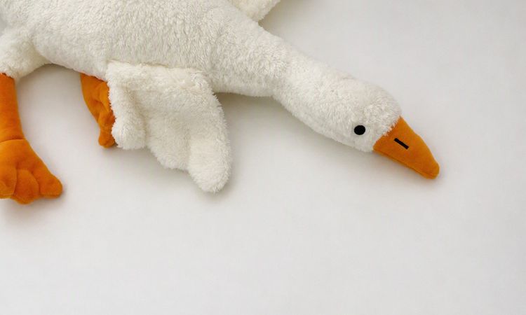 Ministry's decision to ban and recall the 'plush goose' toy - Breaking News
