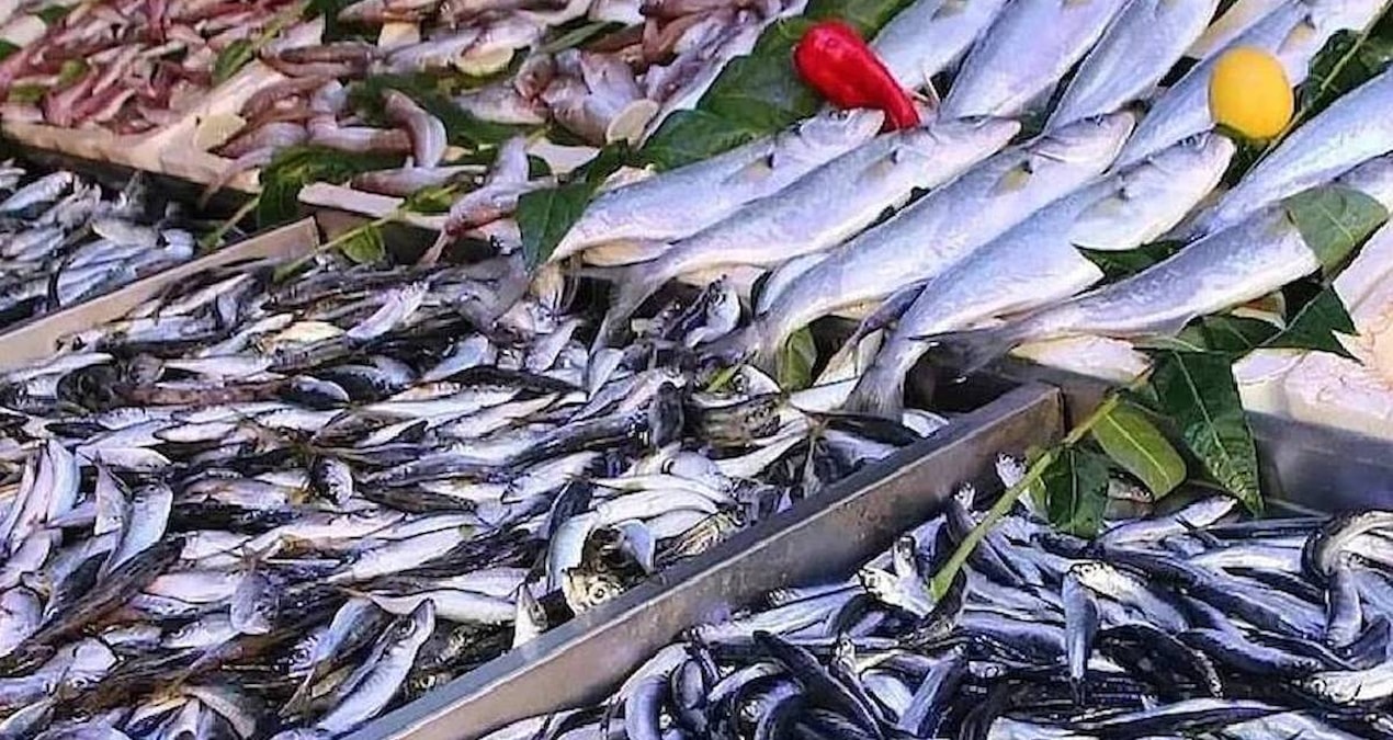 Ayrıntılar Netleşti: Bu balığın tezgaha çıkması yasak ama müşterisi çok: Kapış kapış satılıyor - Son Dakika