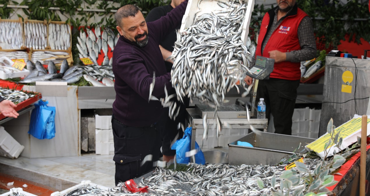 Gündemden Son Bilgiler: Balık tezgahlarında kuyruk oluştu: Fiyat ilk kez 400 liradan 50 liraya gerileme kaydet