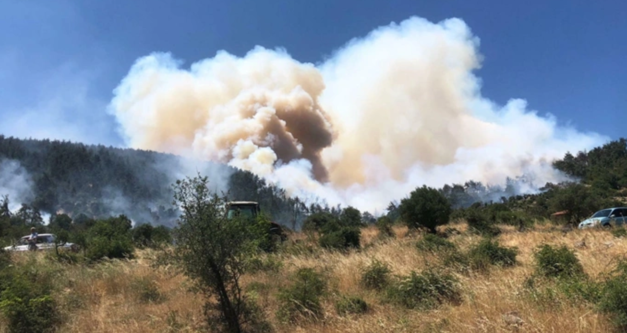 The forest in Balıkesir has been burning for two days! - News