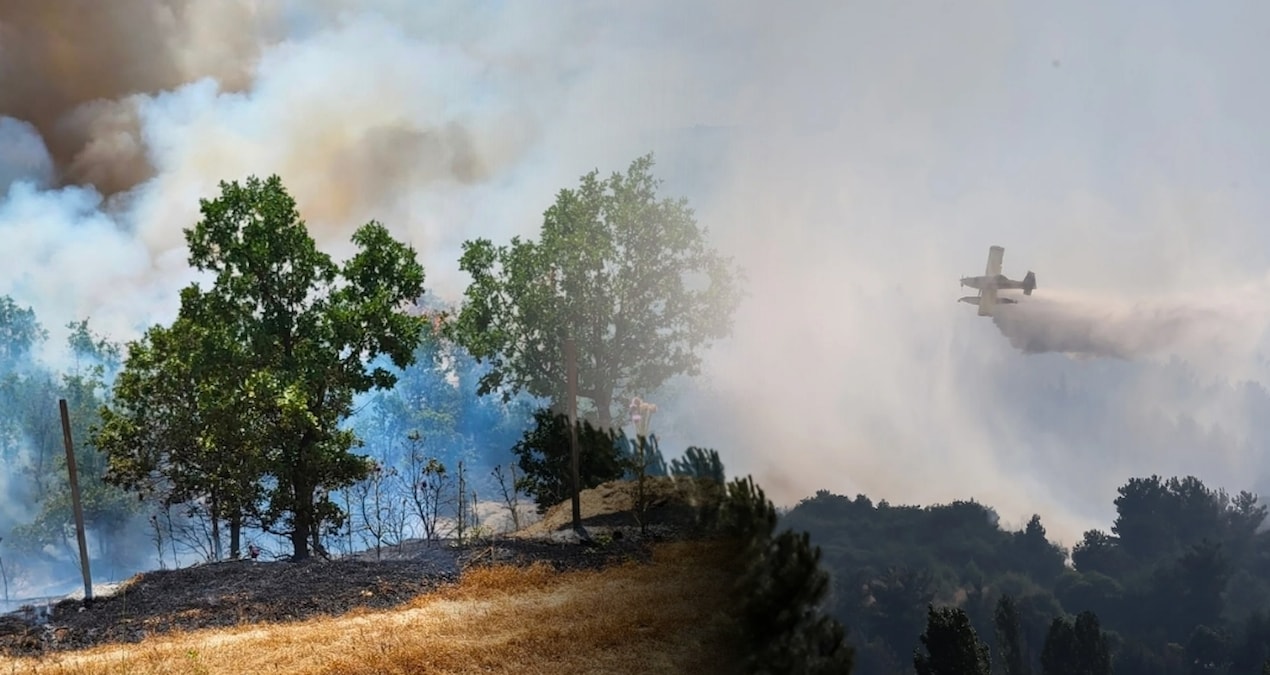 Fire in three locations in Balıkesir! Good news came from two provinces... - News