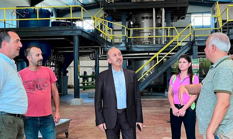 Ayrıntılar Netleşti: Balıkesir'de zeytin hasadı öncesi verimli sezon beklentisi - Son Dakika | İşte Tüm Ayrınt