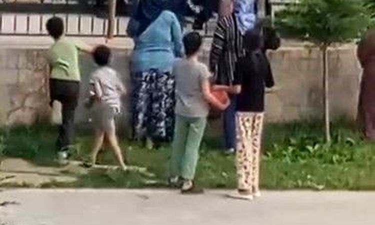 2-year-old child died after falling from the balcony - News