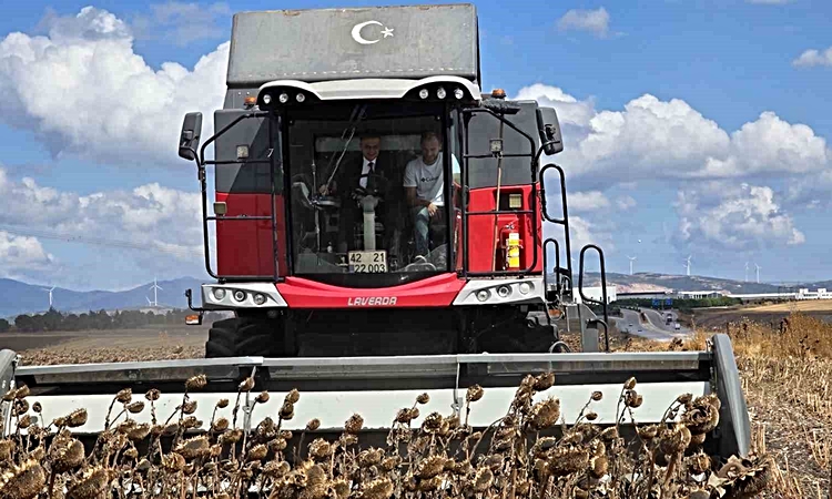 Bandırma Kaymakamı Öztürk, Beyköy'de biçerdöverle ayçiçeği hasadına katıldı | İşte Tüm Ayrıntılar
