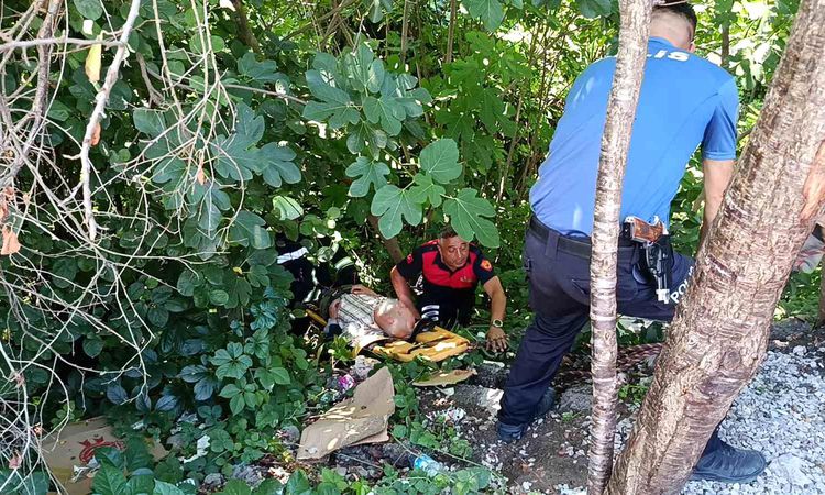 The old man fainted and fell into the bushes - News