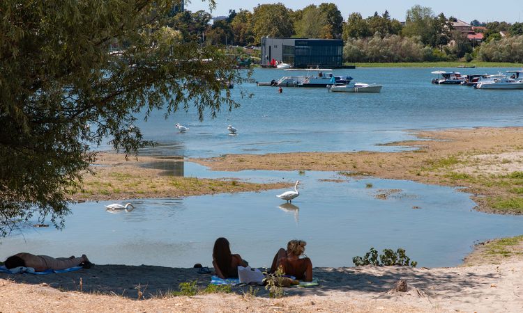 Kritik Açıklama: Belgrad'da kuraklık Tuna Nehri'ni kuruttu - Haberleri | İşte Tüm Ayrıntılar