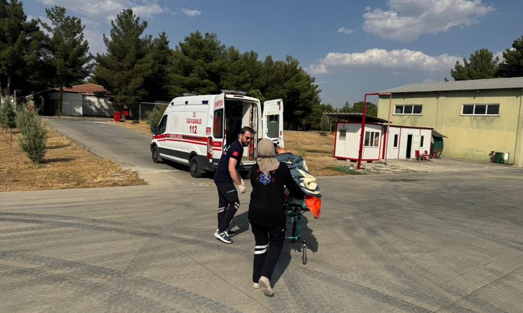 Beyin kanaması geçiren kadın ambulans helikopterle hastaneye ulaştırıldı - Son Dakika | İşte Tüm Ayrıntılar