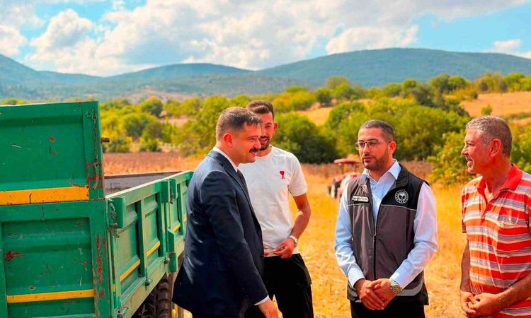 Kritik Açıklama: Bilecik’te ayçiçeği ekimi 3 yılda 11 bin 700 dekar arttı - Son Dakika - Son Dakika Bilgileri