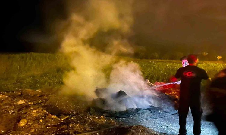 Ayrıntılar Netleşti: Bilecik’te yol kenarındaki çöp birikintisi alev aldı - Son Dakika | İşte Tüm Ayrıntılar