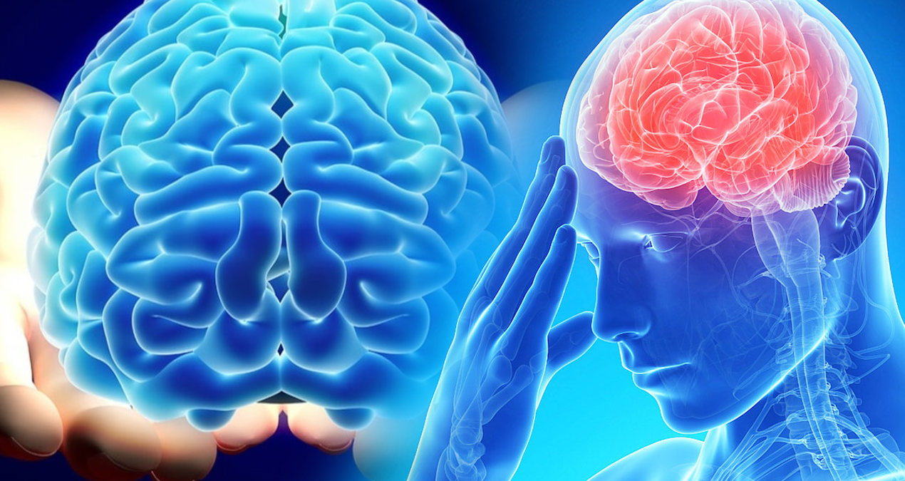 Scientists announced: This habit prevents the brain from aging - News