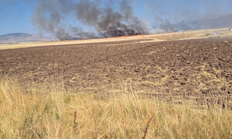 Stubble flames in Bingöl; 4 personnel were affected by smoke - News