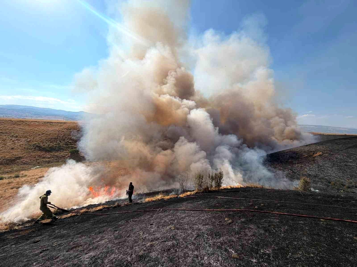 Land fires in Bingöl: A thousand acres of wheat fields turned to ashes - Last Minute