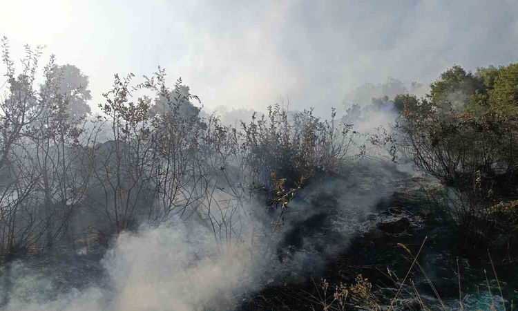 Gündemden Son Bilgiler: Bingöl'de iki alevler dizginlendi - Son Dakika - Son Dakika Bilgileri