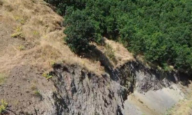 Son Gelişme: Bingöl'de Nesli Tükenme Tehlikesindeki Dağ Keçisi Dronla Görüntülendi - Haberleri ve Merak Edilen