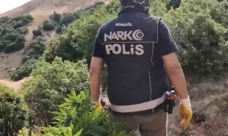 Ayrıntılar Netleşti: Bingöl'de Uyuşturucu Operasyonu: 3 Tutuklama - Haberleri ve Merak Edilenler