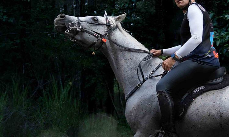 Sıcak Gündem: Binici Öktem Balkan Şampiyonası'nda milli formayla yarışacak - Haberleri | İşte Tüm Ayrıntılar