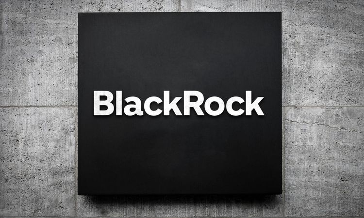 Kritik Açıklama: BlackRock stablecoin piyasasında beklenen hamleyi yaptı - Son Dakika Haberleri | İşte Tüm Ayr