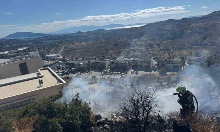Bodrum Konacık'taki makilik yangında 200 metrekarelik alan zarar gördü - Son Dakika Bilgileri