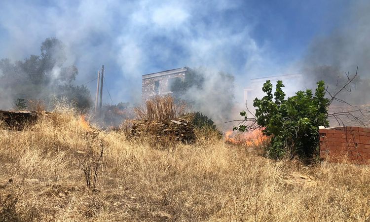 Flames broke out in a grassy area in Bodrum and spread to the forest - Breaking News