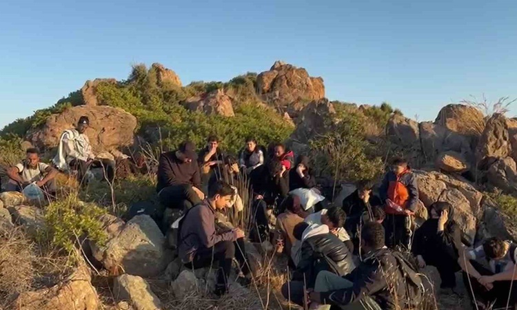 Bodrum'da Yunan adalarına geçmeye hazırlanan 34 düzensiz göçmen yakalandı | İşte Tüm Ayrıntılar