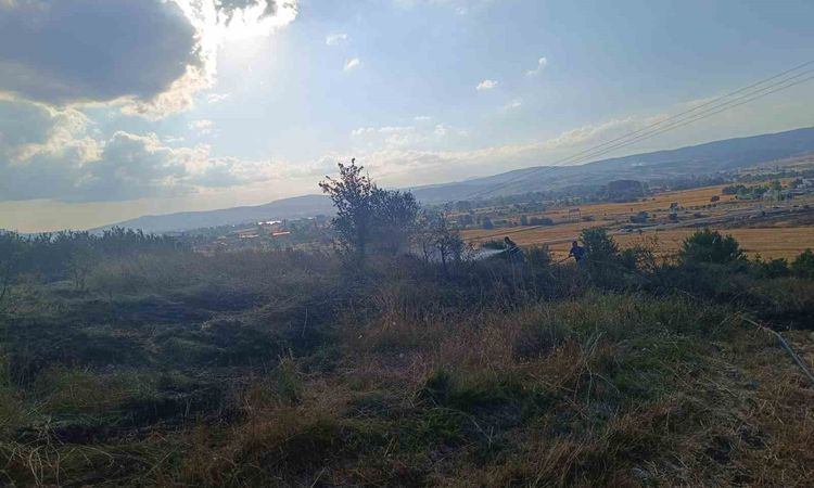 Ayrıntılar Netleşti: Bolu'da Anız Yangını Kontrol Altına Alındı - Son Dakika Haberleri: Gelişmeler Takip Edili