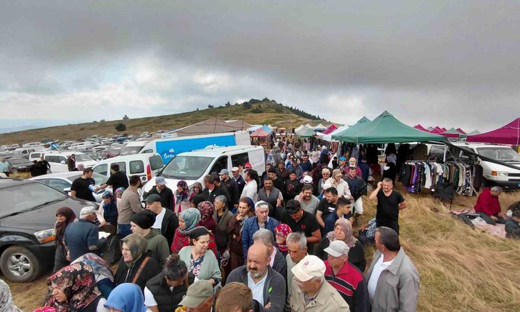 Sıcak Gündem: Bolu'da Hacet Bayramı: Şifa İçin Sarı Kantaron Toplandı - Haberleri | İşte Tüm Ayrıntılar